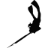 Spearfishing Naples Official Website favicon